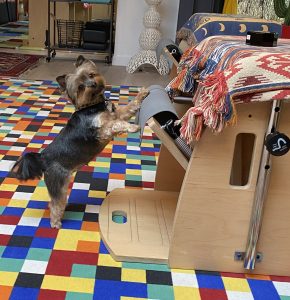 Espace Pilates - Bambi fait de la chair